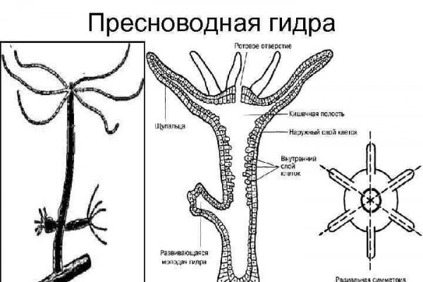 Kraken официальное зеркало kraken dark link