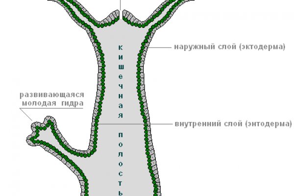 Что с кракеном сегодня сайт